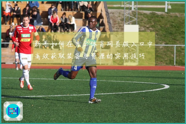 新手如何在开云体育网页版入口中高效获取装备与资源的实用技巧