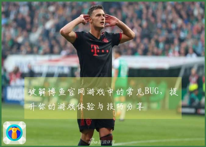 破解博鱼官网游戏中的常见BUG，提升你的游戏体验与技巧分享