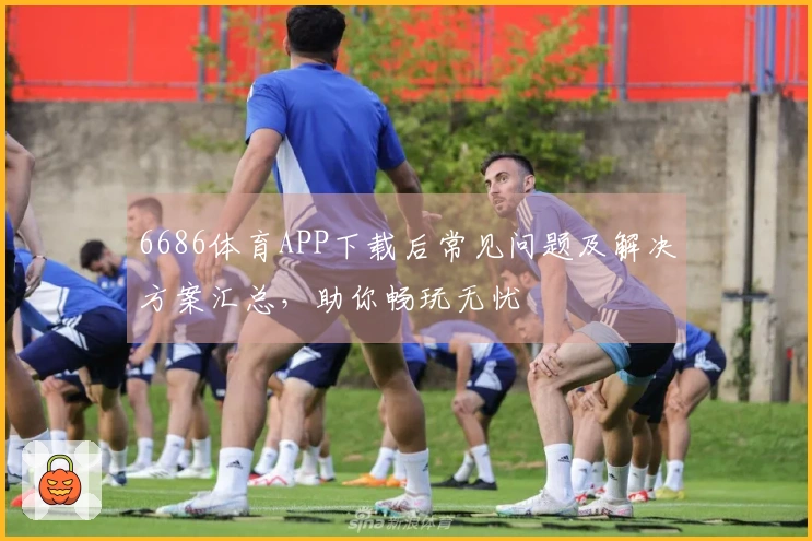 6686体育APP下载后常见问题及解决方案汇总，助你畅玩无忧